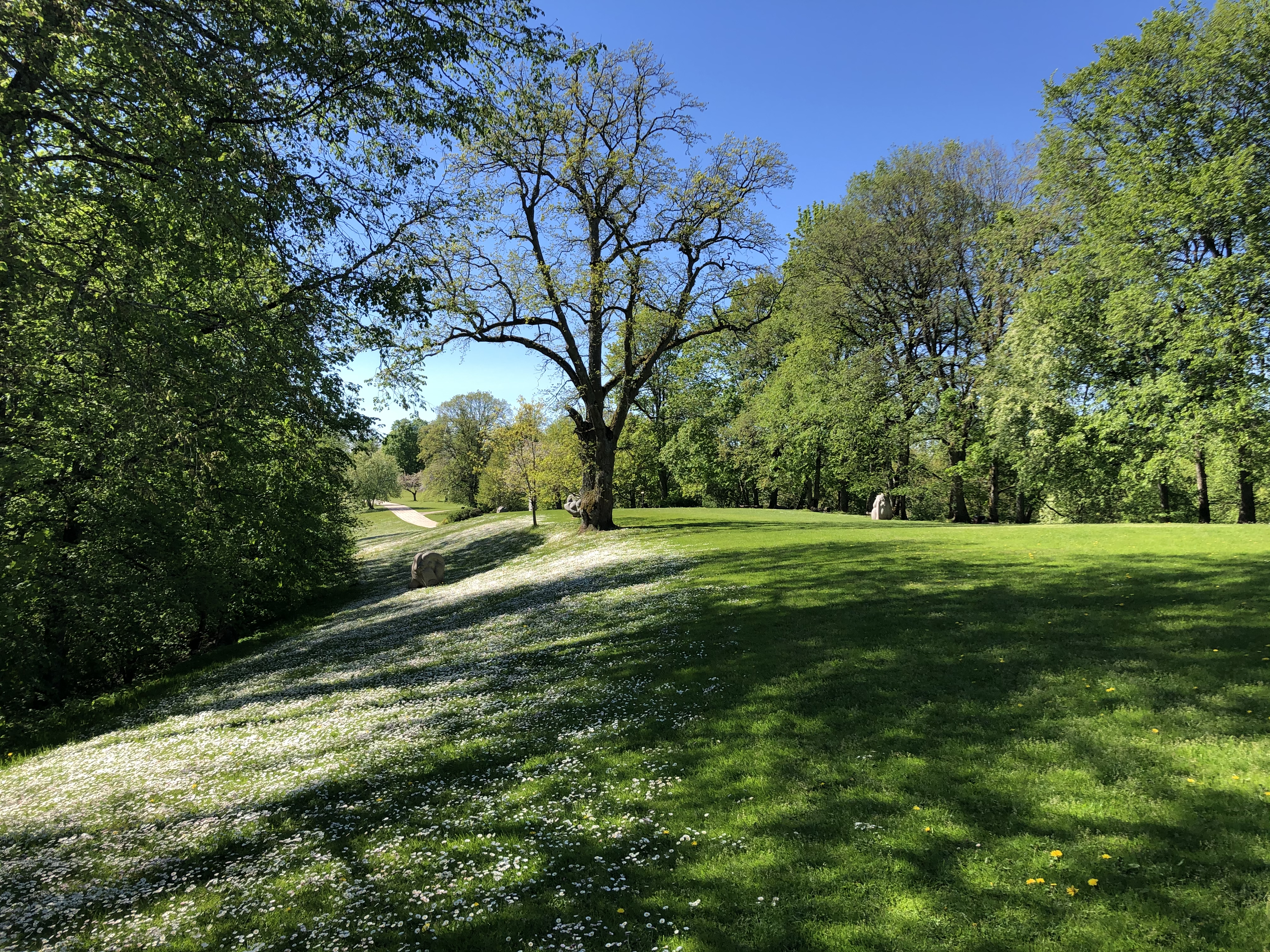 Klusā daba banner attēls sākumlapā
